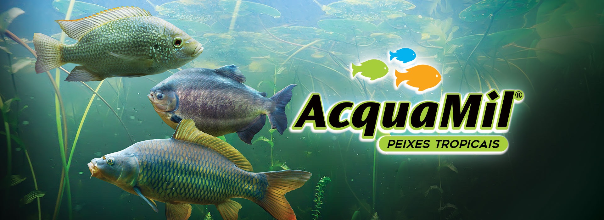 AcquaMil